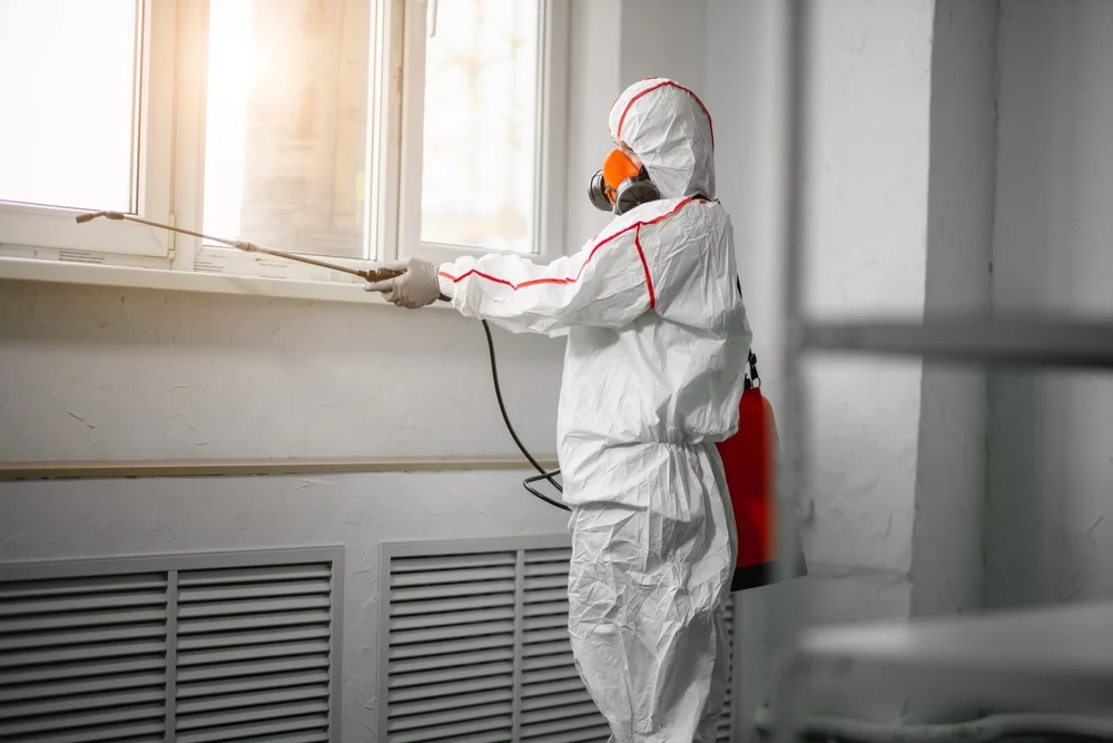 Professional mold remediation services in East Andover, NH